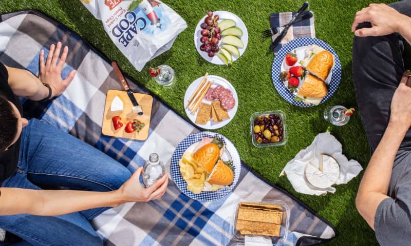 The Best Baskets and Picnic Backpacks America s Test Kitchen